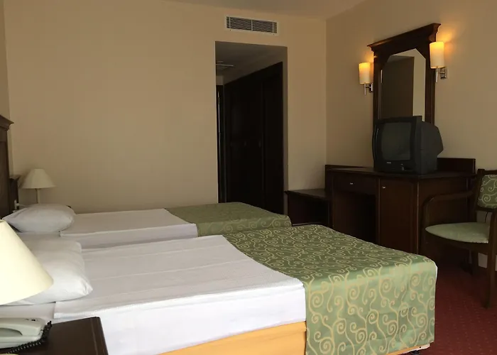 Palm D'or 4*