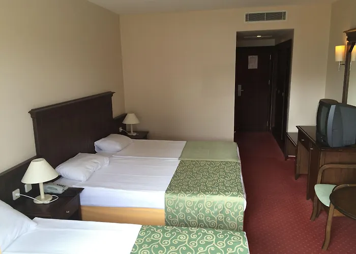 Palm D'or Hotel 4*