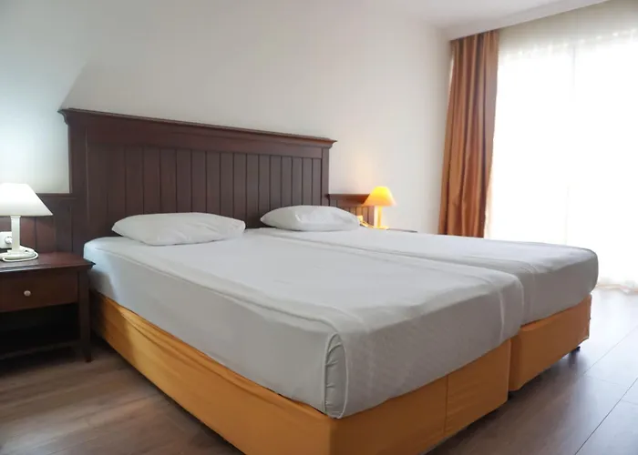 Hotel Palm D'or 4*