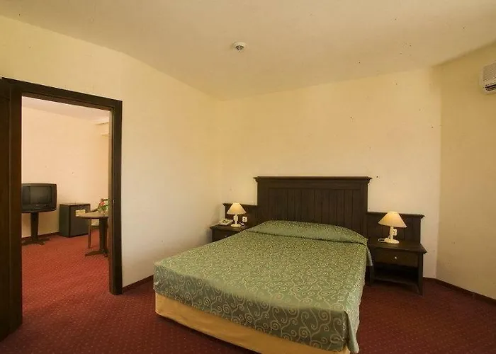 Palm D'or 4* Side
