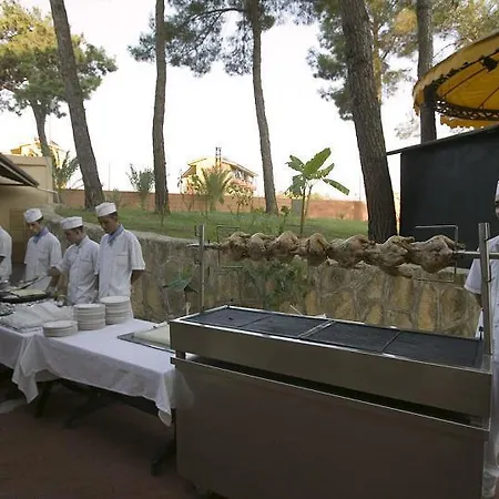 Palm D'or Отель