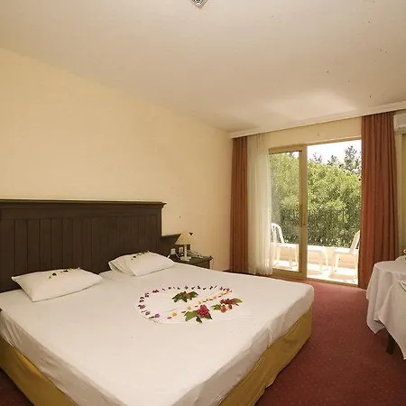 ホテル Palm D'or 4*