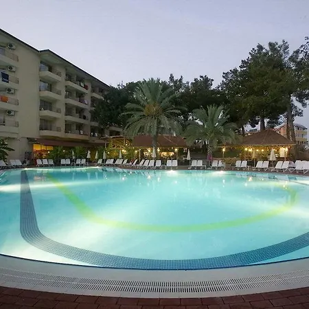 Palm D'or シダ