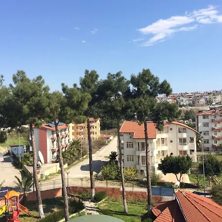 Palm D'or Hotel 4*