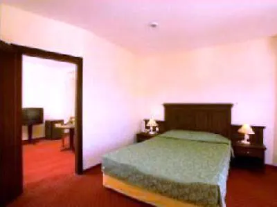 Palm D'or 4* シダ