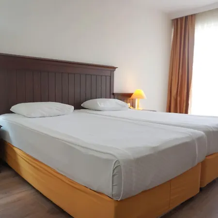 ホテル Palm D'or 4*