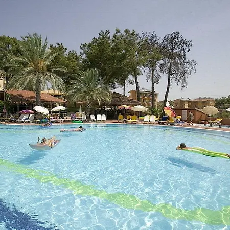 ホテル Palm D'or 4*