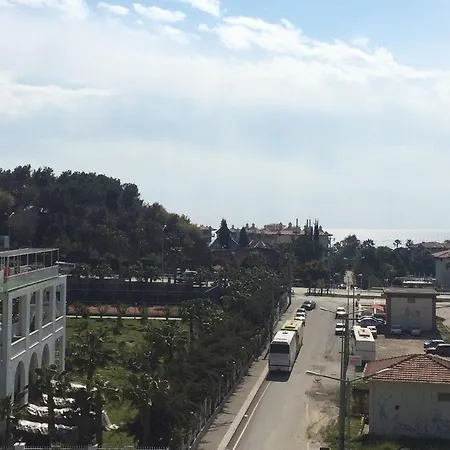 Palm D'or 4* סייד