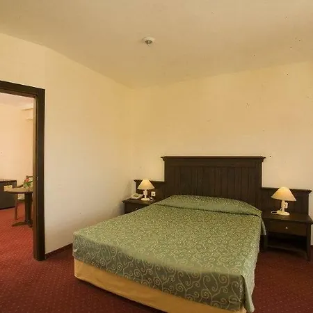 Palm D'or 4* סייד